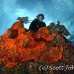 sponge_orange_mra_kl_h_0157_fla6056.jpg